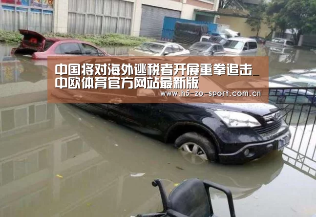 中国将对海外逃税者开展重拳追击_中欧体育官方网站最新版(图2) 中欧体育app官方下载