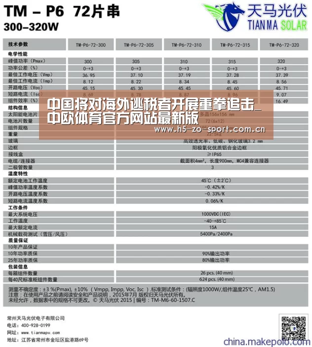 中国将对海外逃税者开展重拳追击_中欧体育官方网站最新版(图1) 中欧体育官网登录入口