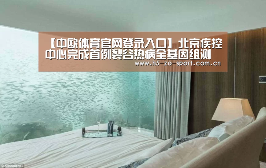 中欧体育官网登录入口