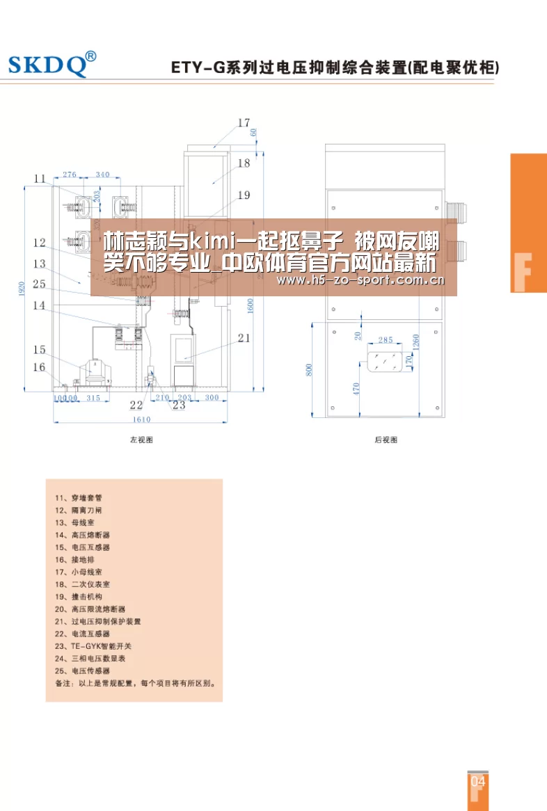 中欧体育官方网站最新版