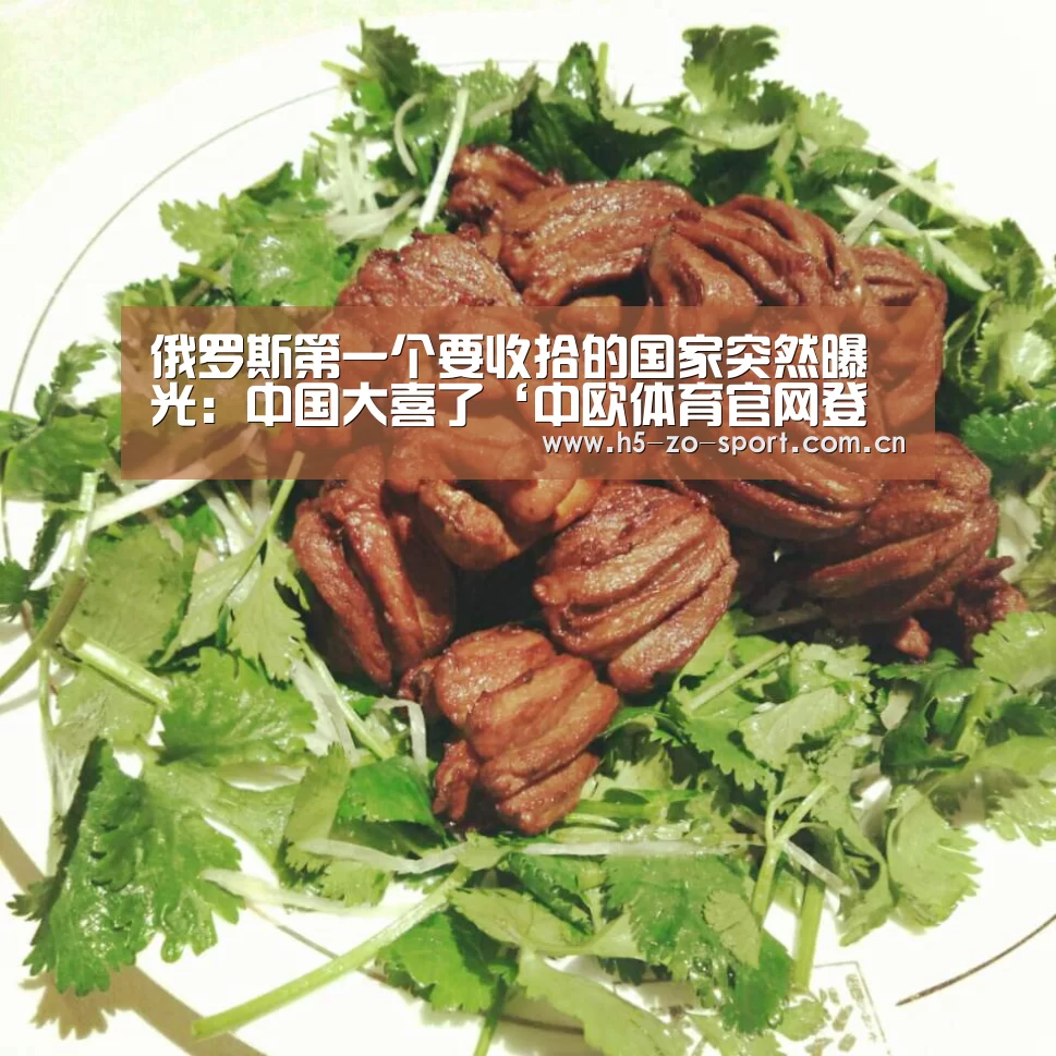 中欧体育官方网站最新版