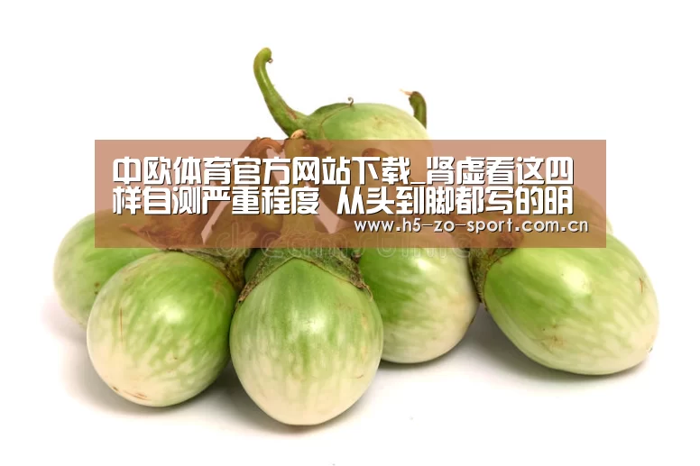 中欧体育官方网站最新版