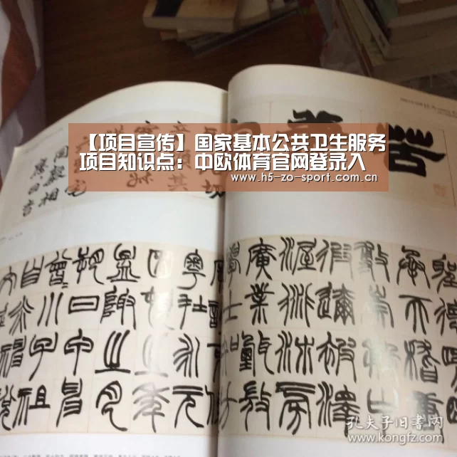 中欧体育官网登录入口