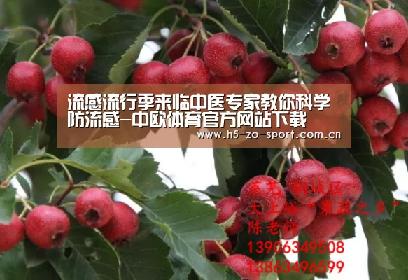 中欧体育官方网站下载